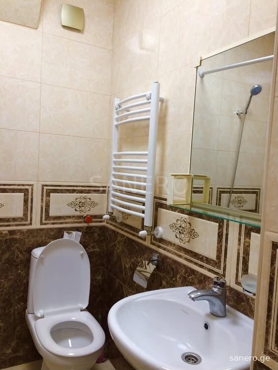Bathroom sink and toilet