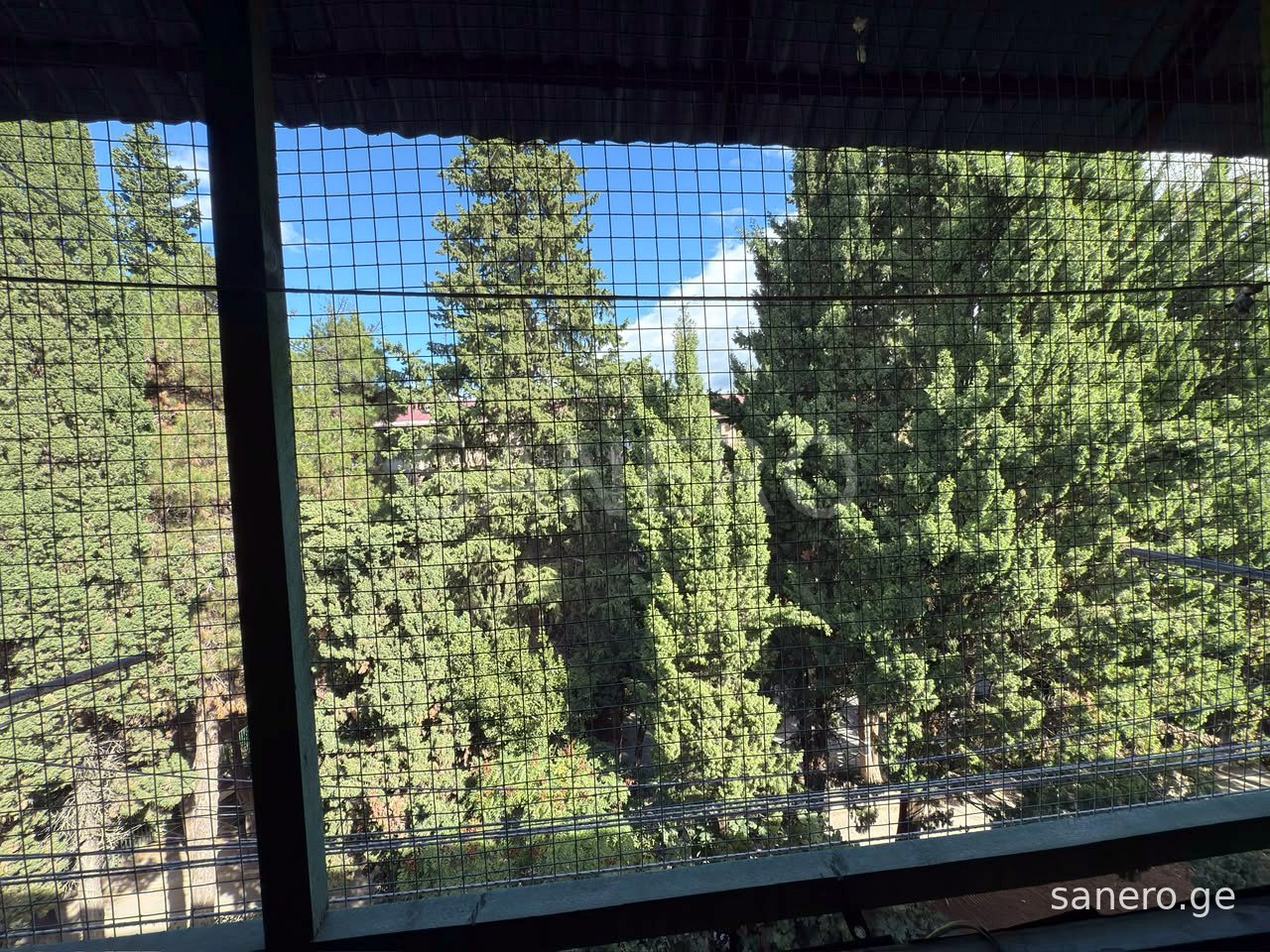 View of the trees from the balcony