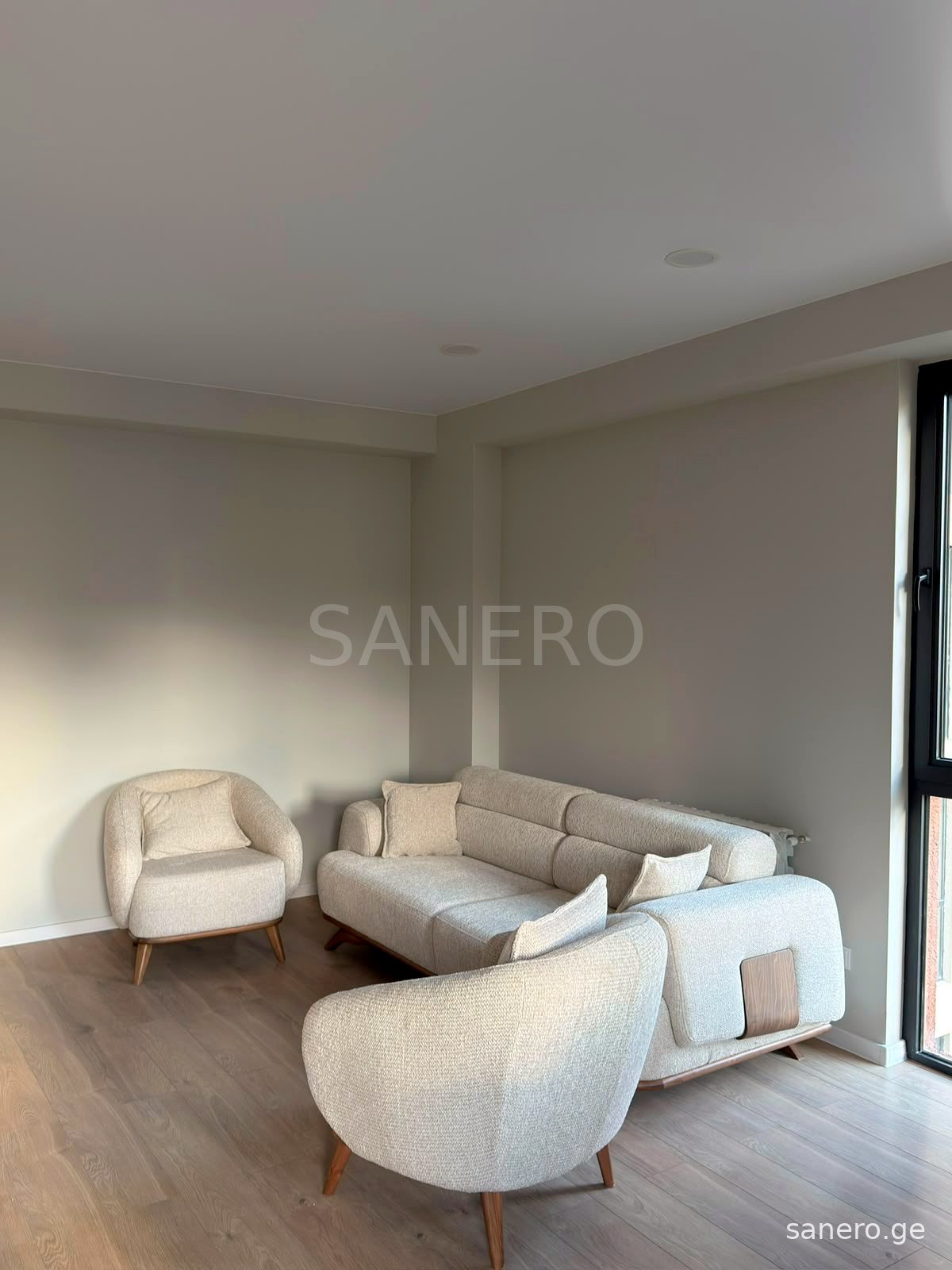 Living room seating area