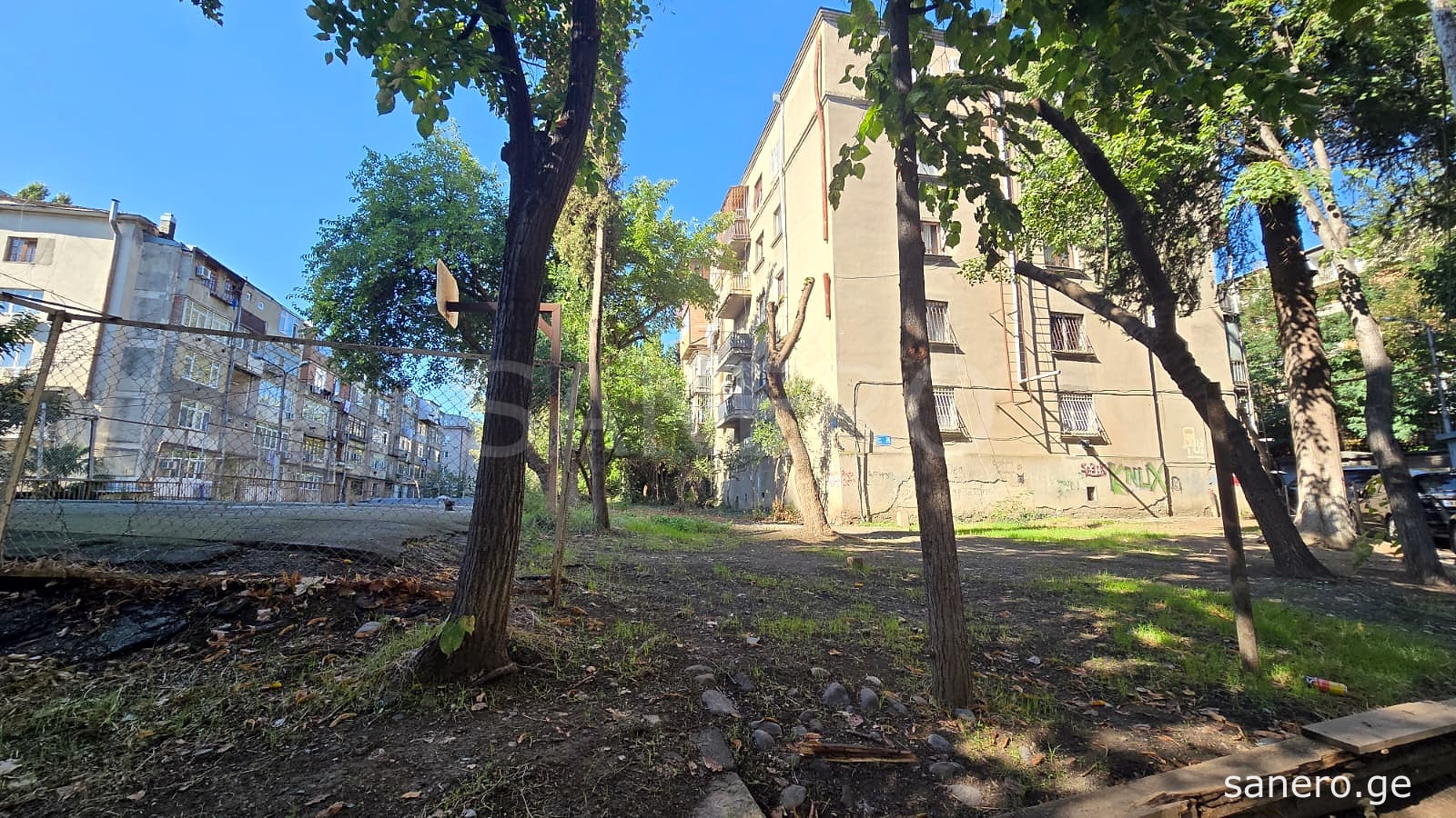 Green courtyard with trees