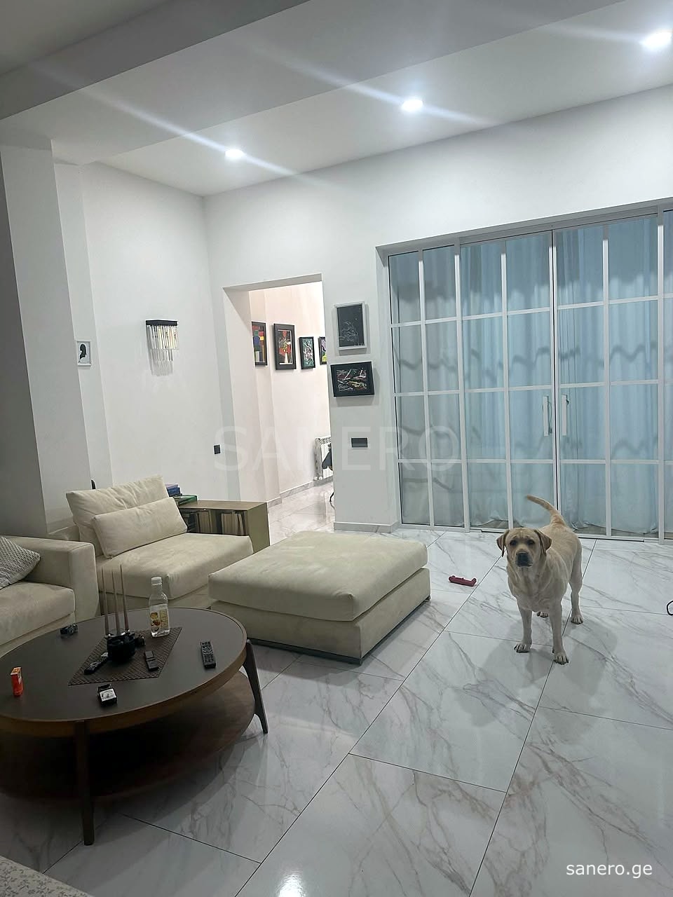 Living room with glass partition